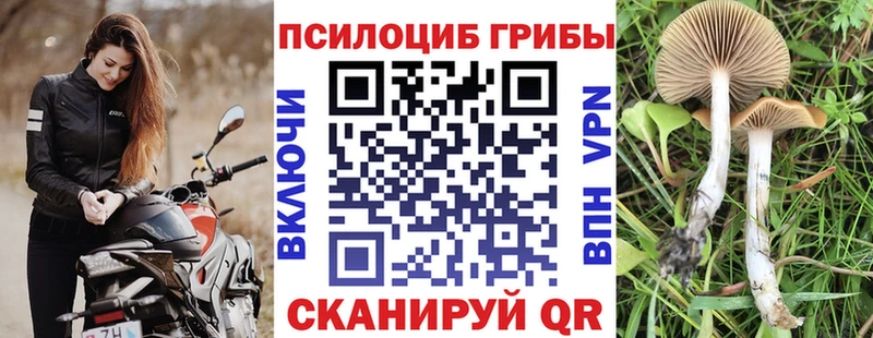 продажа наркотиков  mega ссылка  Галлюциногенные грибы Psilocybe  Ижевск 