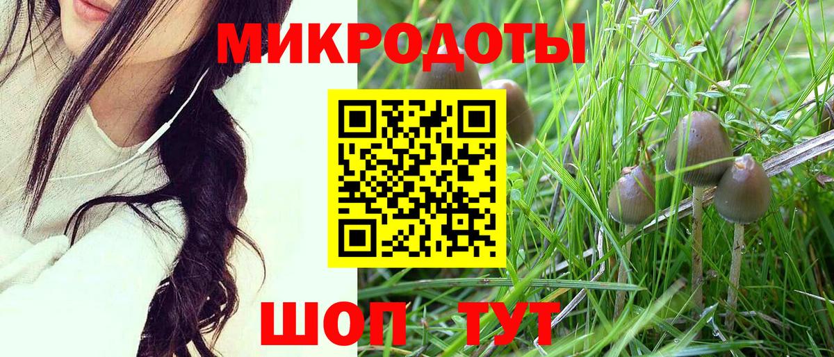 Псилоцибиновые грибы MAGIC MUSHROOMS Ижевск