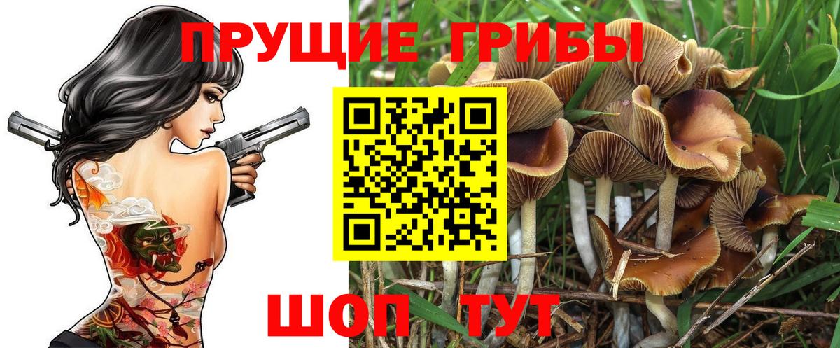 Псилоцибиновые грибы GOLDEN TEACHER  Вход с VPN  Ижевск  Псилоцибиновые грибы мухоморы 